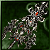 Adaga do Sussurro Primordial