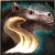 Horse's Hair