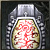 Reinforced Turtle Shield