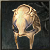 Hindseeker Cap