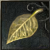 Torge's Leaf