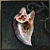 Finest Tooth