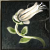 Flower to be used as Dye