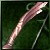 Moglower Bow