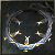 Reinforced Veteran's Chakram