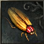 Mayuria Insect