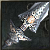Fiercelord Sword