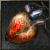 Rare Organ