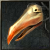 Hawk's Beak