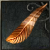 Rare Feather