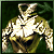 Garb of Willos