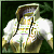 Garb of Pirtus