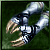 Sleeve of Quentin