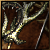 Forest Wanderer's Bow