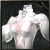 Novice's Vitality Costume <Swashbuckler>