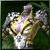 Jacket of Arncien
