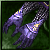 Gauntlets of Excen