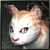 Kitty Lv 1 <1 days>