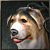 Doggy Lv 4 <1 days>
