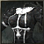 Rare Nun's Habit: Balanced <Swashbuckler -14 days>