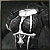 Rare Nun's Habit: Balanced <Elementalist - 14 days>