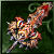 Blazing Sky Sword