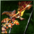 Enervation Bow
