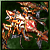 Plunging Blaze Crossbow