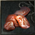 Turkey Meat