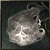 Silver Grippler Fur