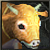 Cow of Fortune