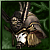 True Helmet of Odon