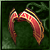True Headband of Sirian
