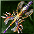 Lumen Rapier