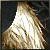 Moonlight Wings<Lv1>