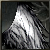 Dark Angel Wings<Lv2>